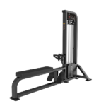 DH21 Low Back Trainer
