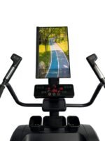Model Q1 - Mirroring and Casting - Image 2
