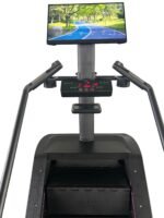 Model L1 - Mirroring and Casting - Image 3